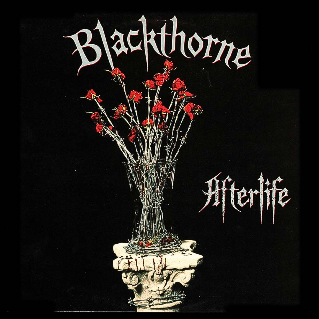 Blackthorne - Afterlife [180G 2LP]